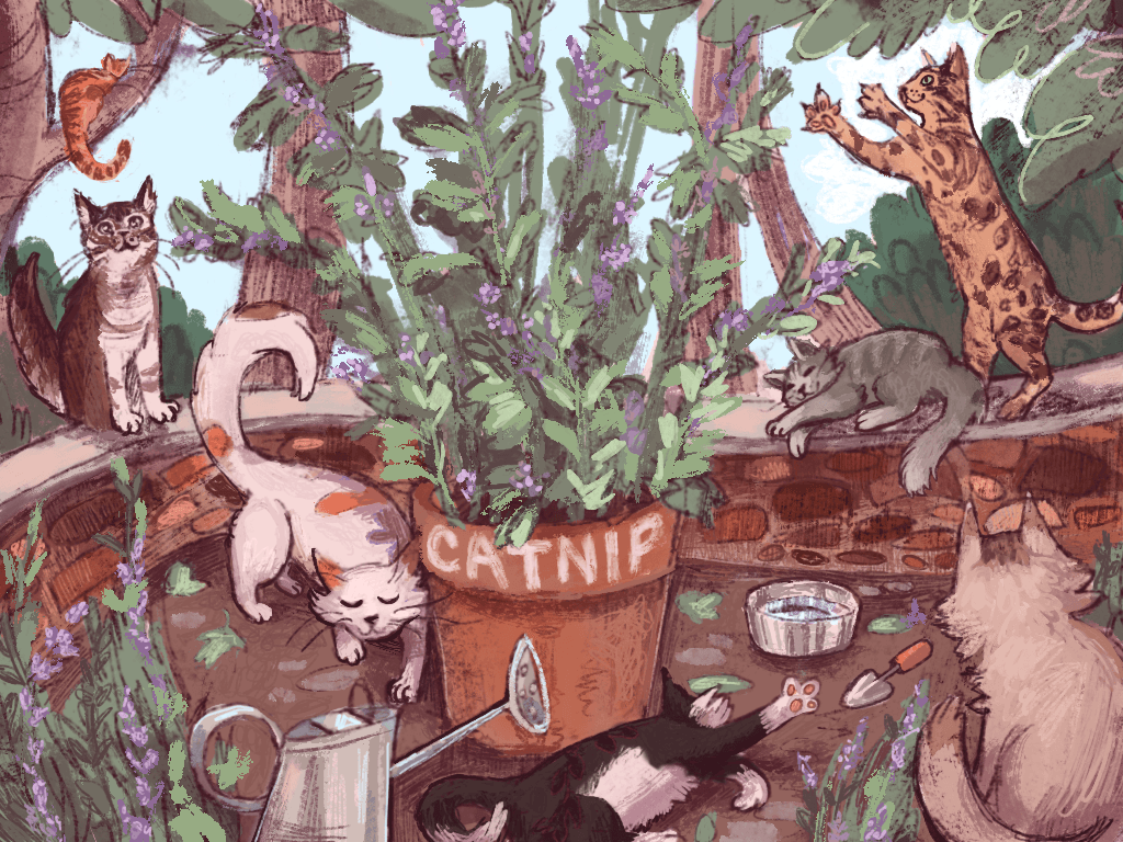 Catnip